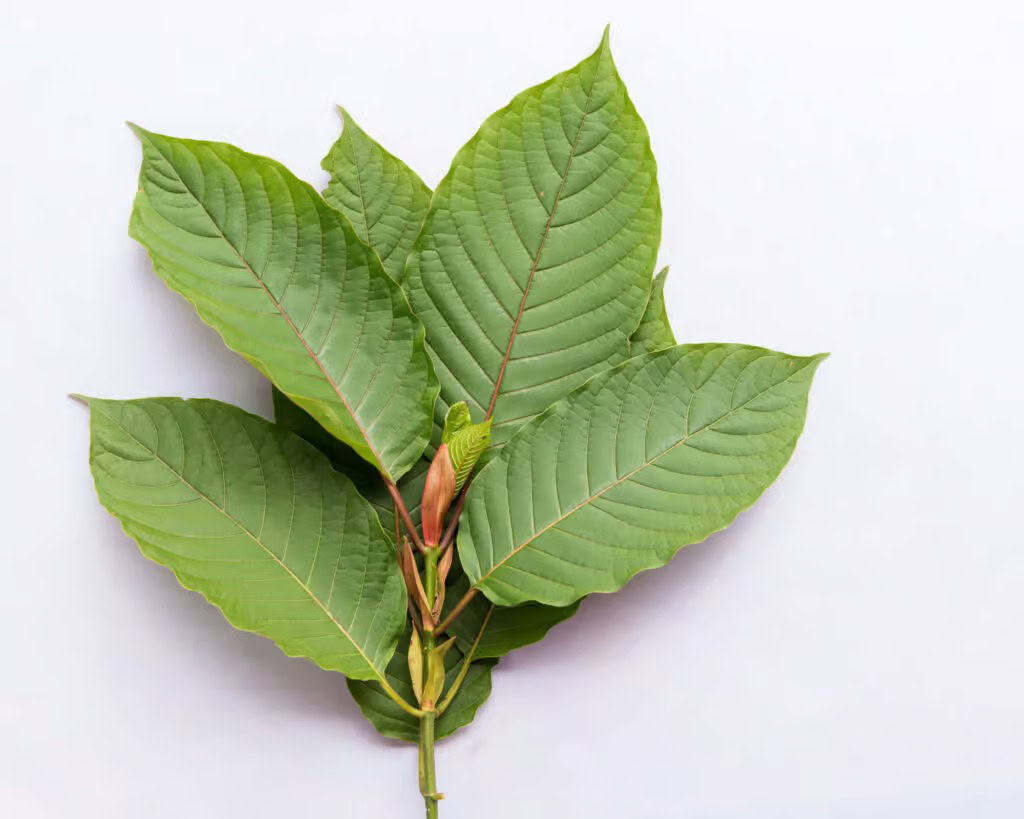 rehab for kratom