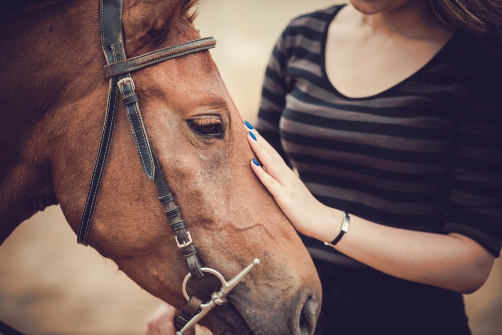 Is There Insurance Coverage for Animal Assisted Therapy?